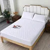 Waterproof Queen Mattress Encasement - 360° Full Surround Protection