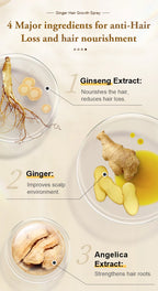 PURC Ginger Hair Growth Products for Men and Women