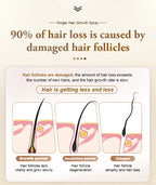 PURC Ginger Hair Growth Products for Men and Women