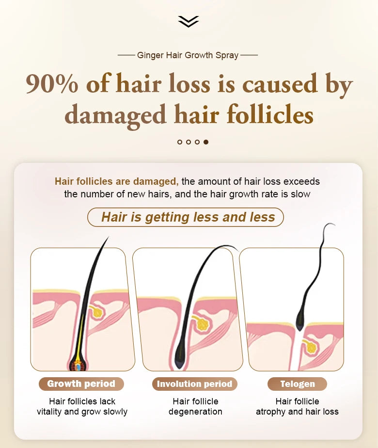 PURC Ginger Hair Growth Products for Men and Women